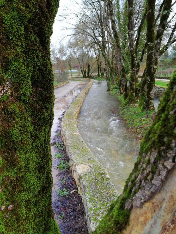 Casa Da Ponte Branca Villa Ansiao Bagian luar foto